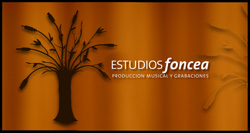 Ver Proyectos